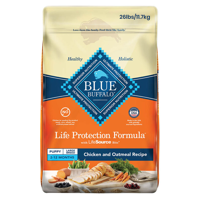 Blue Buffalo, Puppy - LP - LB - Chicken - 6.8 kg - Dry Dog Food image number null