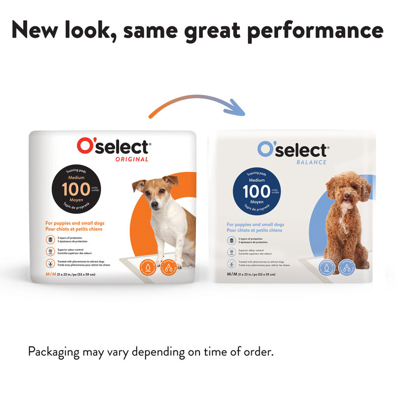 O'select, Training Pads Small Dogs and Puppies image number null