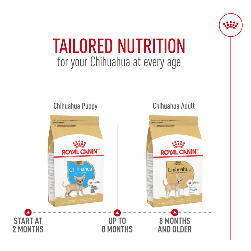 Royal Canin, Breed Health Nutrition Chihuahua Puppy - Dry Dog Food image number null