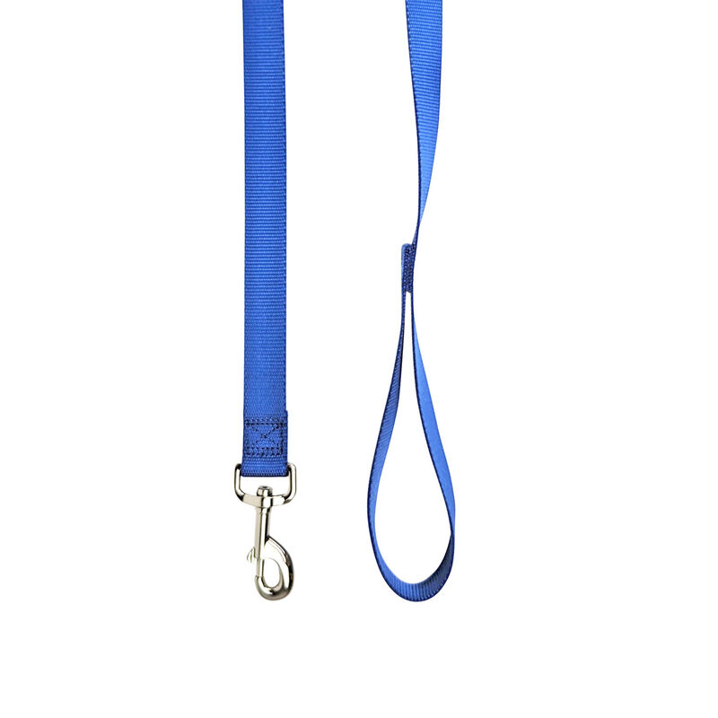 Brigade, Nylon Dog Leash - Blue image number null