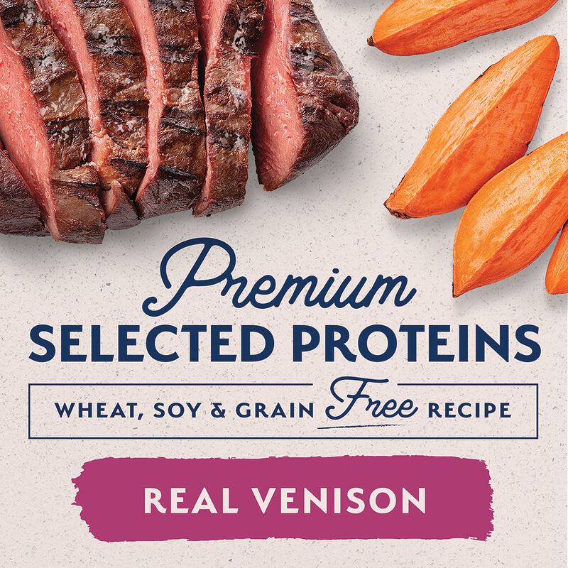 Natural Balance, Limited Ingredient Canned Dog Formula, Venison & Sweet Potato - 369 g - Wet Dog Foo image number null