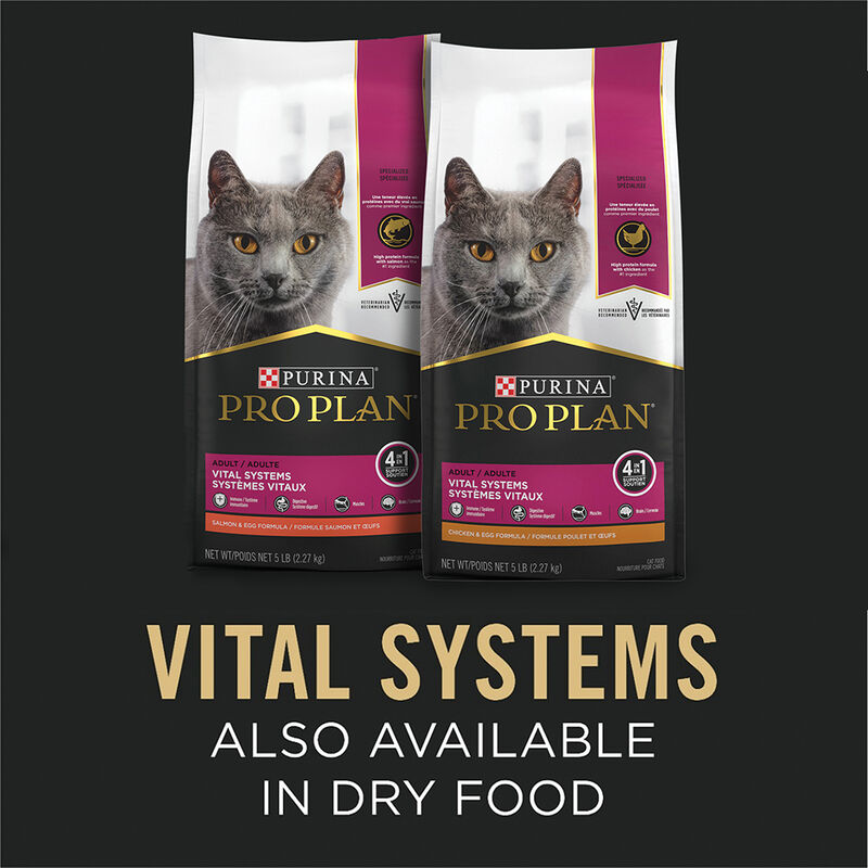 Pro Plan, Can, Feline - Vital Systems 4in1 - Salmon - 85 g - Wet Cat Food image number null