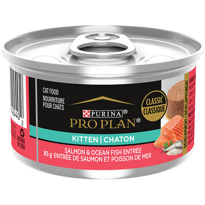 Pro Plan, Salmon & Ocean Fish Entr&eacute;e - Kitten Wet Food