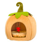 Brigade Pumpkin Pet Hideout image number null