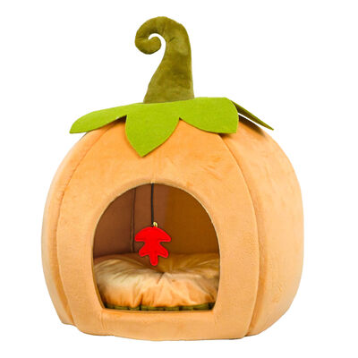Brigade Pumpkin Pet Hideout