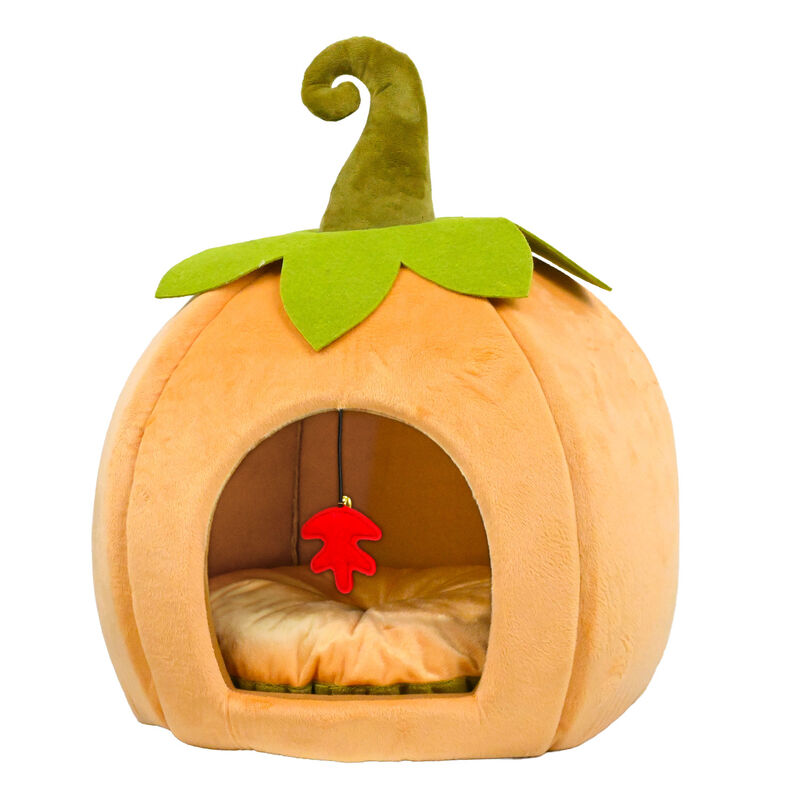 Brigade Pumpkin Pet Hideout image number null