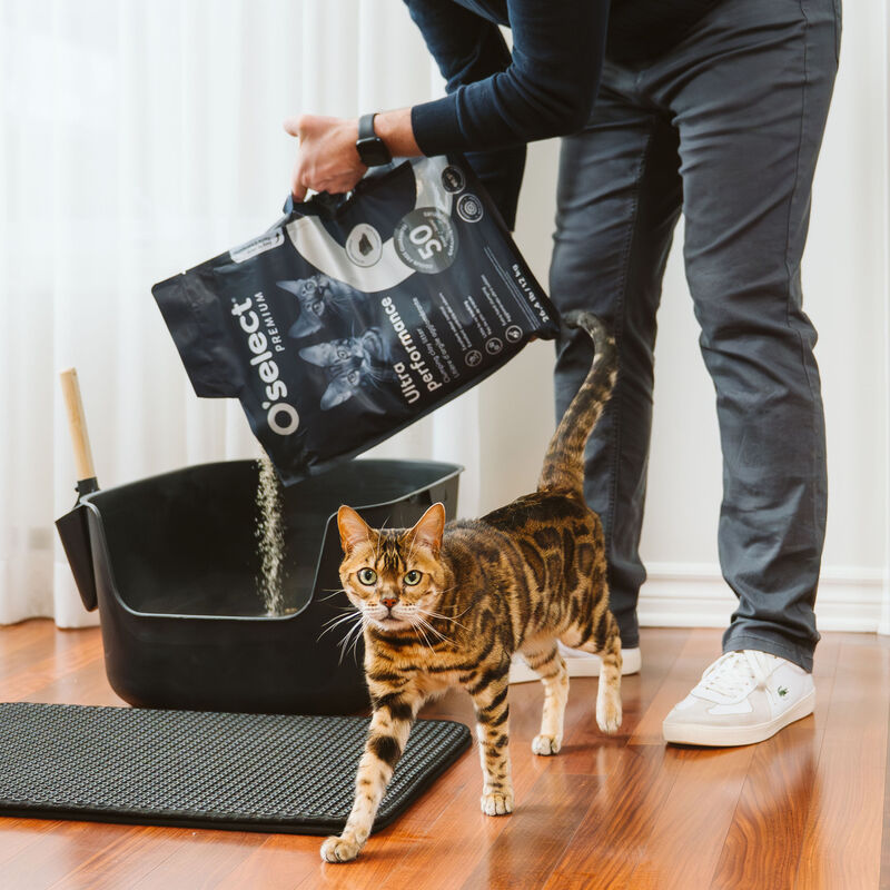 O'select Ultra Performance Clumping Clay Litter - Unscented image number null