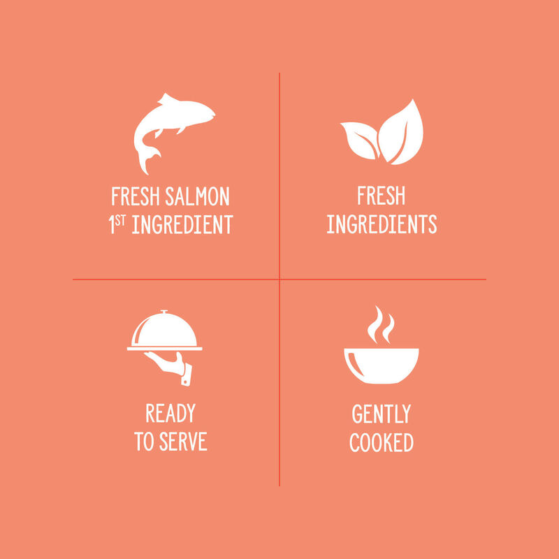 Nutrience, Homestyle Topper Salmon Red Rice Bowl &ndash; Dog Wet Food image number null