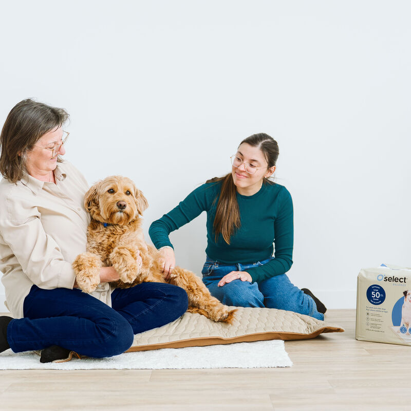 O'select, Training Pads Adult and Senior Dogs - 50 Pack image number null