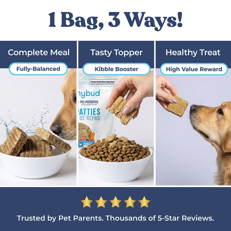 Healthybud, Freeze-Dried Turkey Meal Patties 397g - Freeze Dried Dog Food image number null