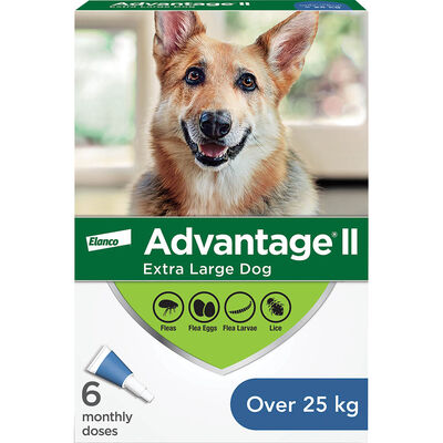 Advantage II, Extra Large Dog Flea Treatment & Protection, >25kg