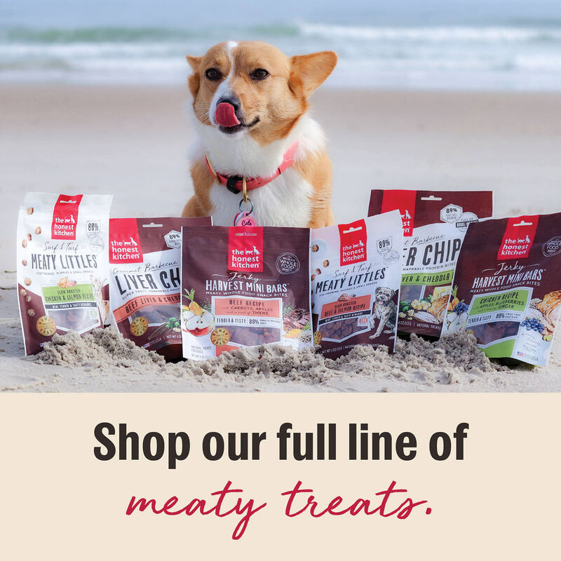 The Honest Kitchen, Meatly Littles - Lamb & Salmon - Puppy Training Treat image number null