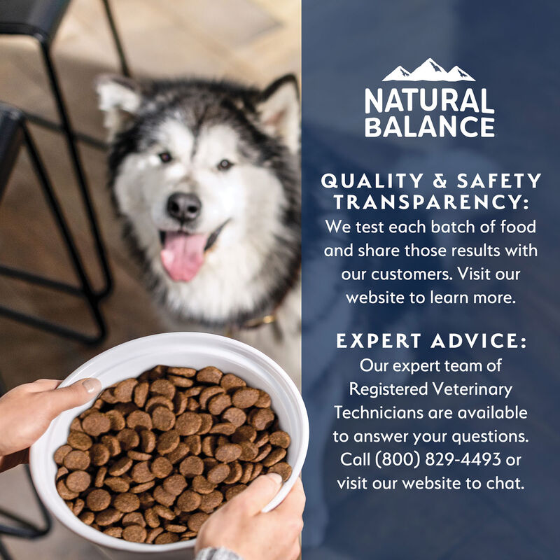 Natural Balance, Health Protection - Real Salmon, Brown Rice & Pumpkin Recipe - Dry Dog Food image number null