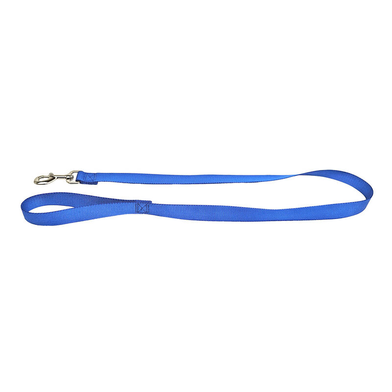 Brigade, Nylon Dog Leash - Blue image number null