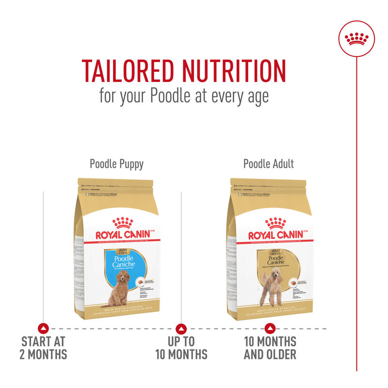 Royal Canin, Breed Health Nutrition Poodle Puppy - Dry Dog Food image number null