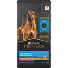 Purina Pro Plan Specialized Large Breed Shredded Blend Adult, Chicken & Rice Dry Dog Food 15.4kg image number null