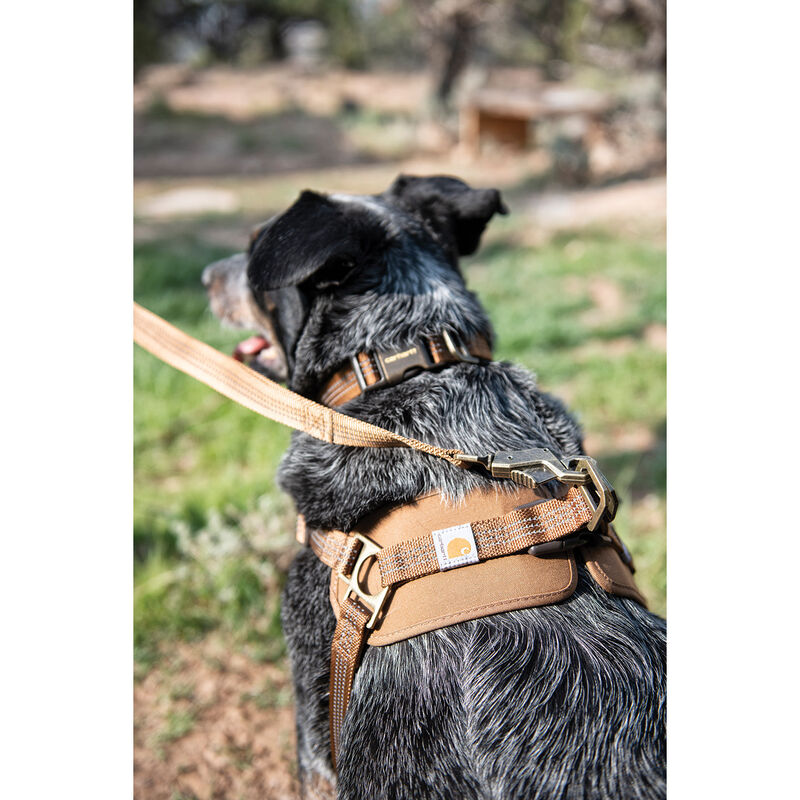 Carhartt Nylon Duck Walking Dog Harness - Light Brown image number null