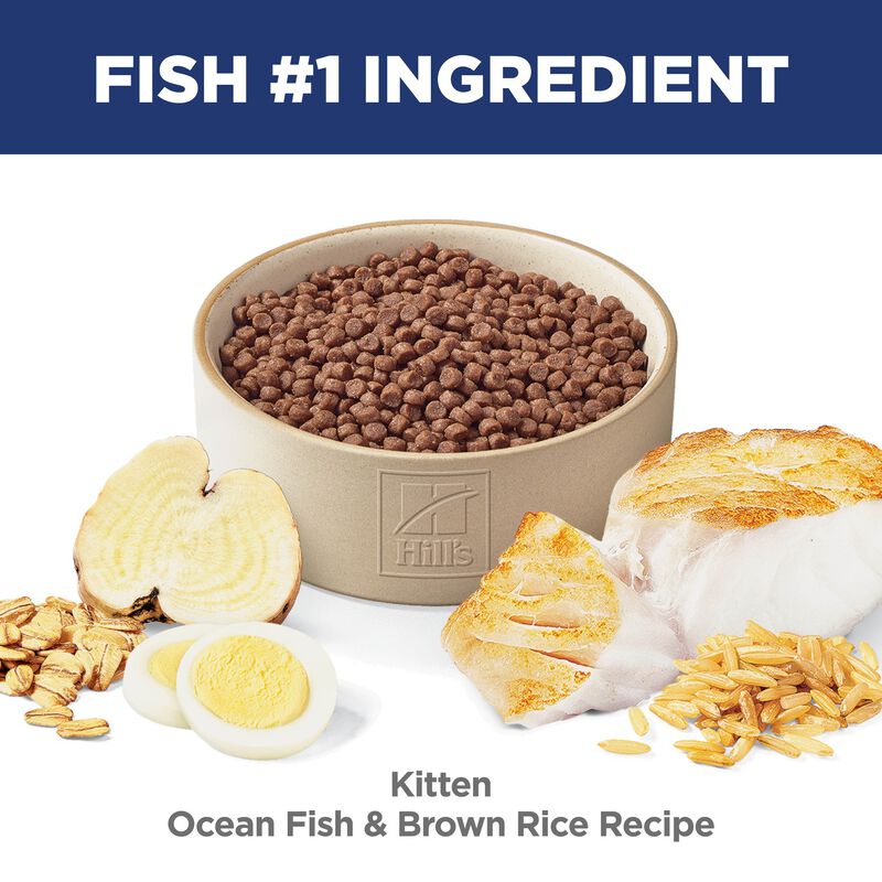 Science Diet, Kitten Ocean Fish & Brown Rice Recipe - Dry Kitten Food image number null