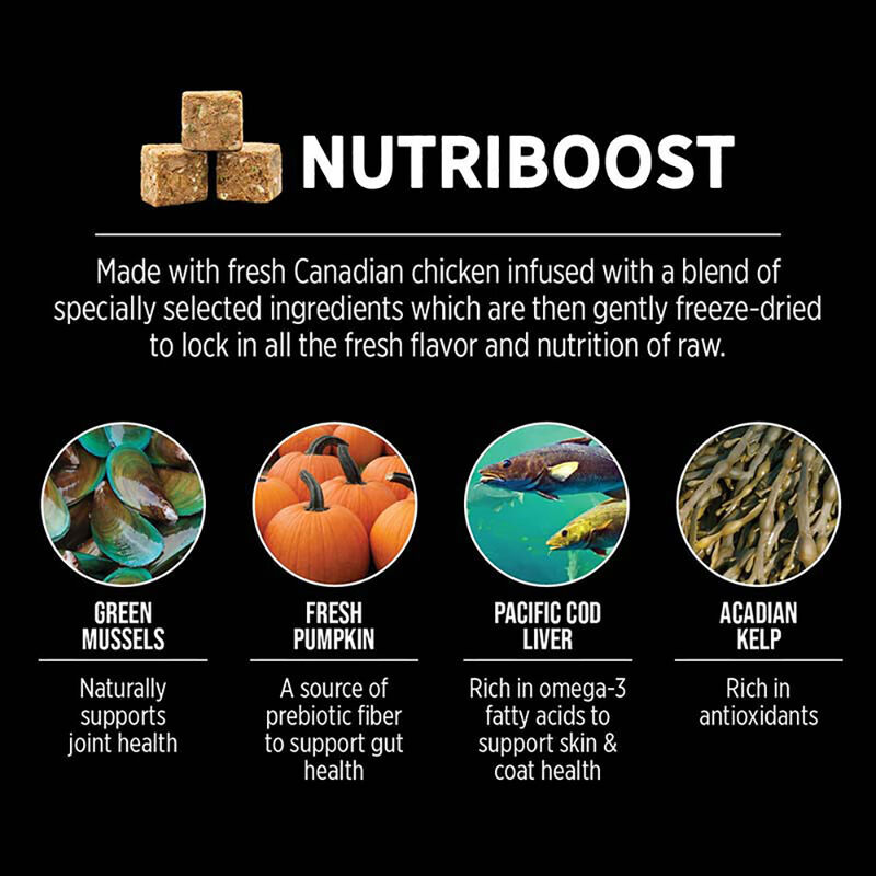 Nutrience, Puppy - SubZero Grain Free - Fraser Valley - Dry Dog Food image number null