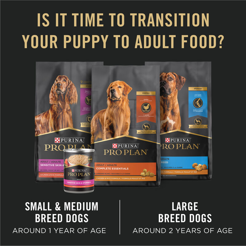 Pro Plan, Can, Puppy - Development-Chicken & Rice Pate-368 g - Wet Dog Food image number null