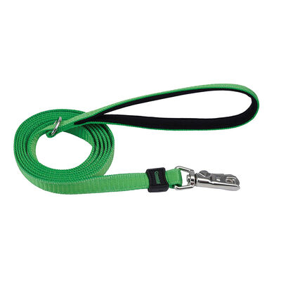 Dog Leash, Green, Medium/Large - 1" x 6'