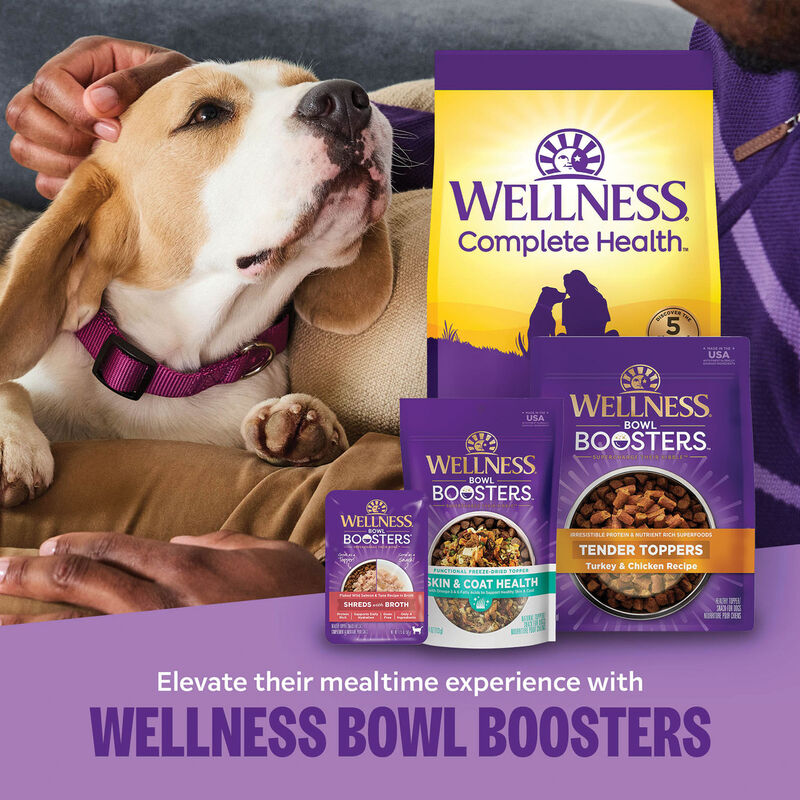 Wellness, Complete Health, Puppy Deboned Chicken, Oatmeal & Salmon - Dry Dog Food image number null