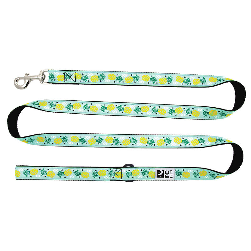 RC Pets, Leash - Pineapple Parade - 1" Width - 6' - Dog Leash image number null