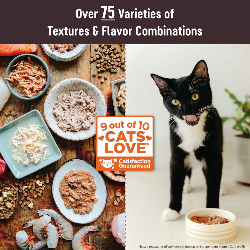 Wellness, Pouch, Feline Adult - Core Tiny Tasters - Chicken & Turkey - 50 g - Wet Cat Food image number null