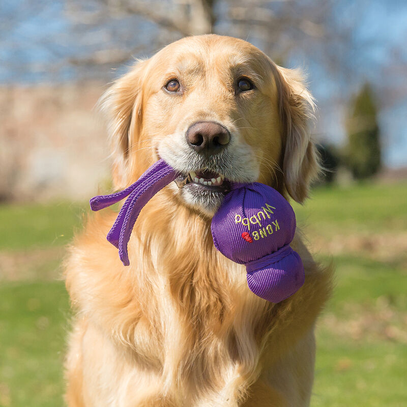 KONG, Wubba - Interactive Dog Toy image number null