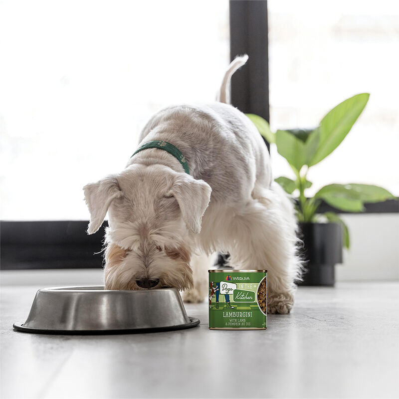 Weruva, Can, Adult - Lamburgini - 285 g - Minced - Wet Dog Food image number null