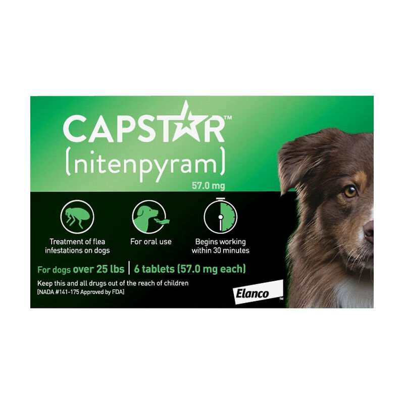 Capstar, Oral Flea Tablet - 11-57 kg - 6 pk image number null