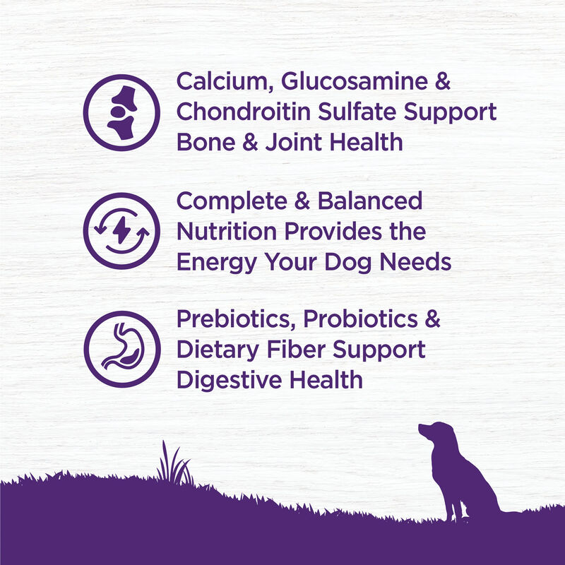 Wellness, Senior Complete Health - Debonded Chicken & Barley - 11.8 kg - Dry Dog Food image number null
