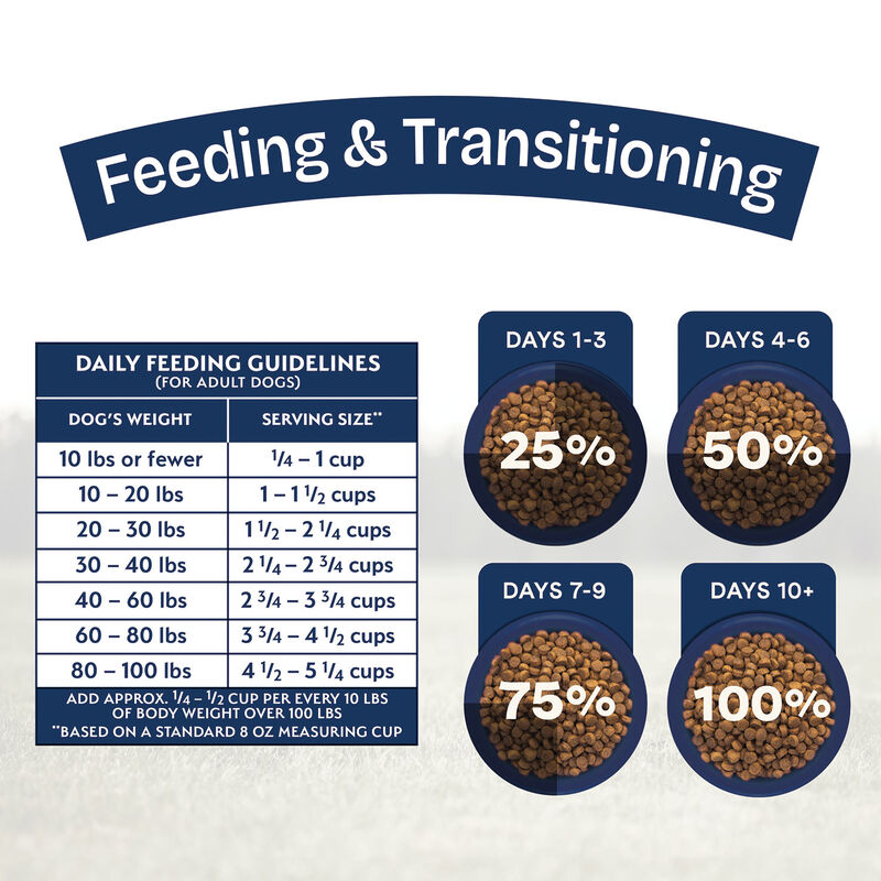 Natural Balance, Health Protection - Real Salmon, Brown Rice & Pumpkin Recipe - Dry Dog Food image number null