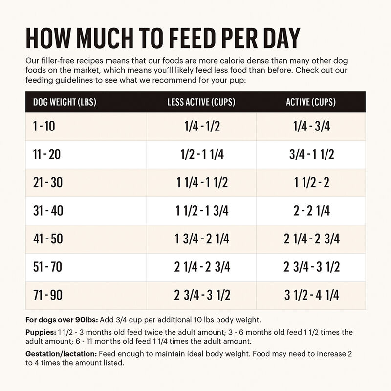 The Honest Kitchen, Grain Free Whole Food Clusters - Beef - Dry Dog Food image number null