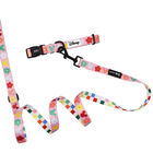 Sassy Woof, Minnie Mickey Collar and Leash Set for Dogs image number null