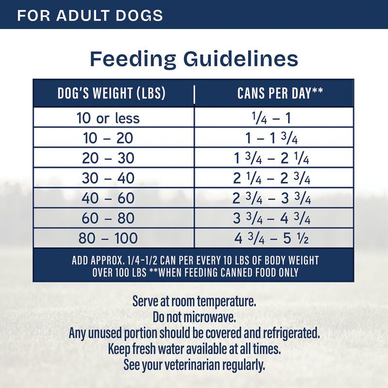 Natural Balance, Health Protection - Salmon & Pumpkin Stew - Wet Dog Food image number null