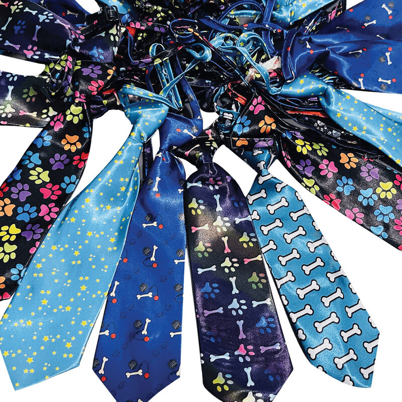 Cozymo Daily Neckties - Assorted 25 pcs image number null