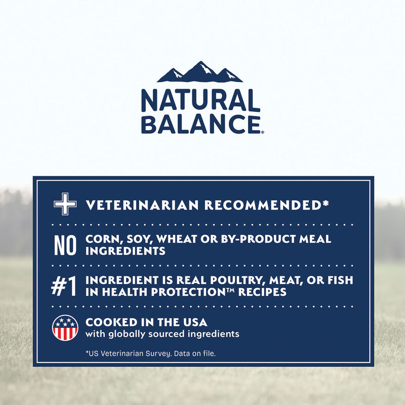Natural Balance, Health Protection - Real Salmon, Brown Rice & Pumpkin Recipe - Dry Dog Food image number null