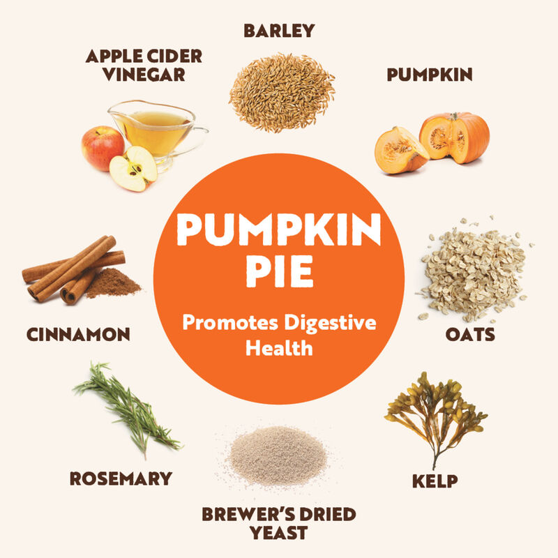 Northern Biscuit, Wheat Free, Pumpkin Pie - 500 g - Dog Biscuit image number null
