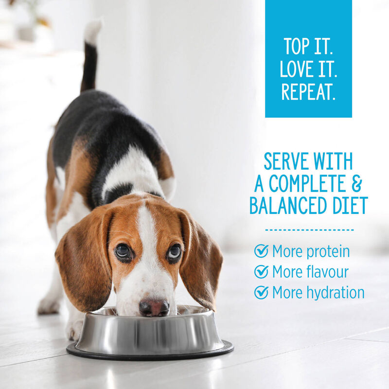Nutrience, Homestyle Topper Chicken Rice Bowl &ndash; Dog Wet Food image number null
