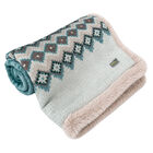 Petite Pistache Plush Blanket with Faux-Fur Lining for Tiny Dog image number null