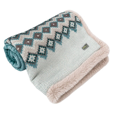 Petite Pistache Plush Blanket with Faux-Fur Lining for Tiny Dog