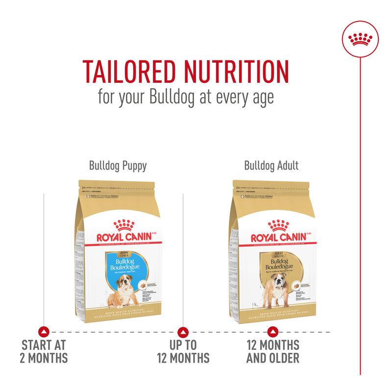 Royal Canin, Breed Health Nutrition Bulldog Puppy - Dry Dog Food image number null