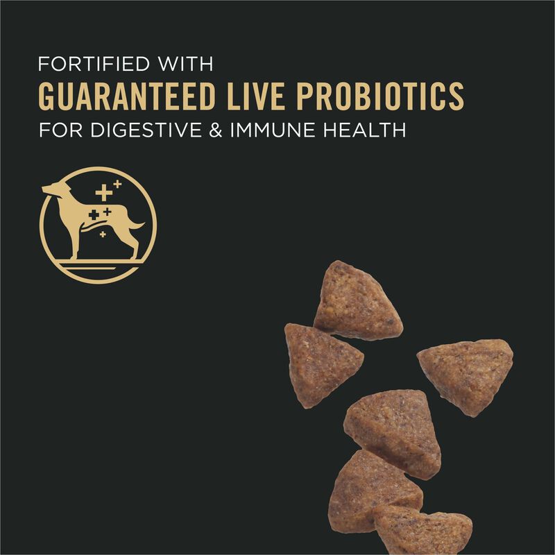 Purina Pro Plan Specialized Sensitive Skin & Stomach Adult, Salmon & Rice image number null
