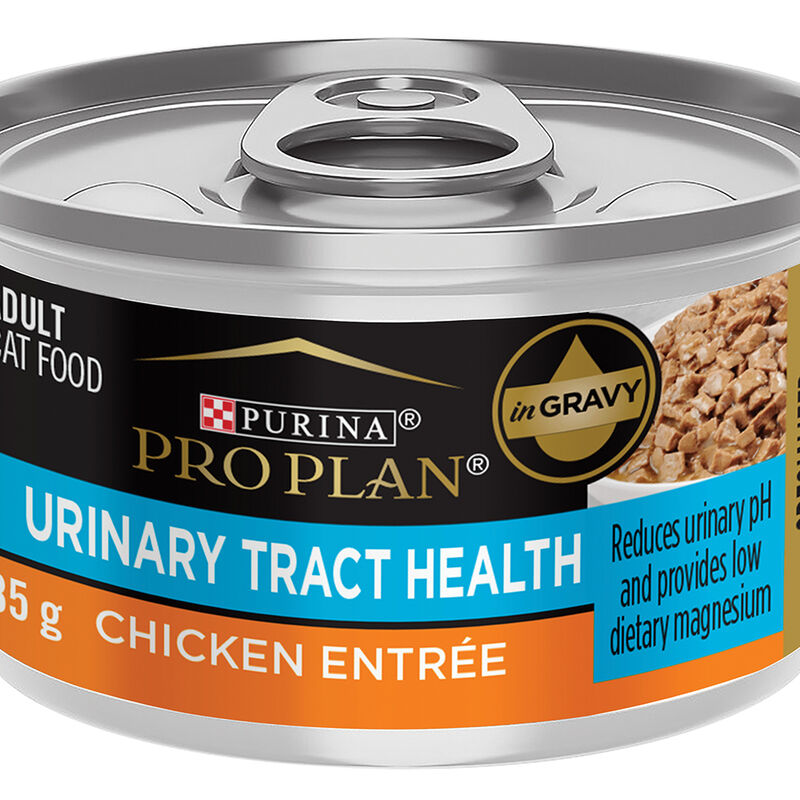 Pro Plan Wet Cat Specialized Urinary Tract Health Chicken entr&eacute;e 85g image number null
