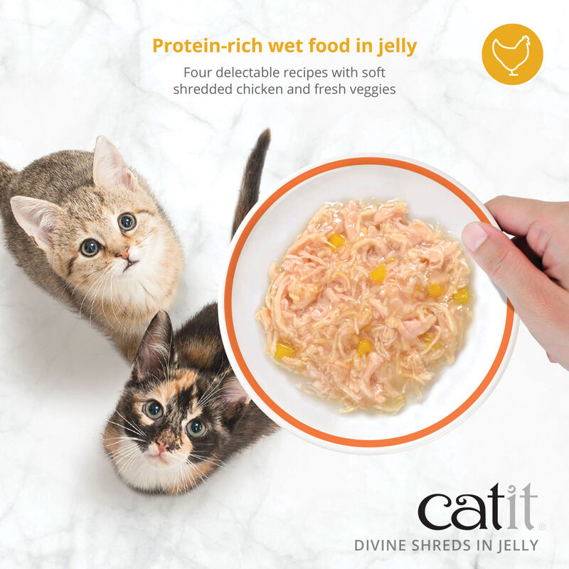 Catit, Divine Shreds in Jelly - Chicken with Salmon & Pumpkin - Wet Cat Food - 85g x 4pk image number null