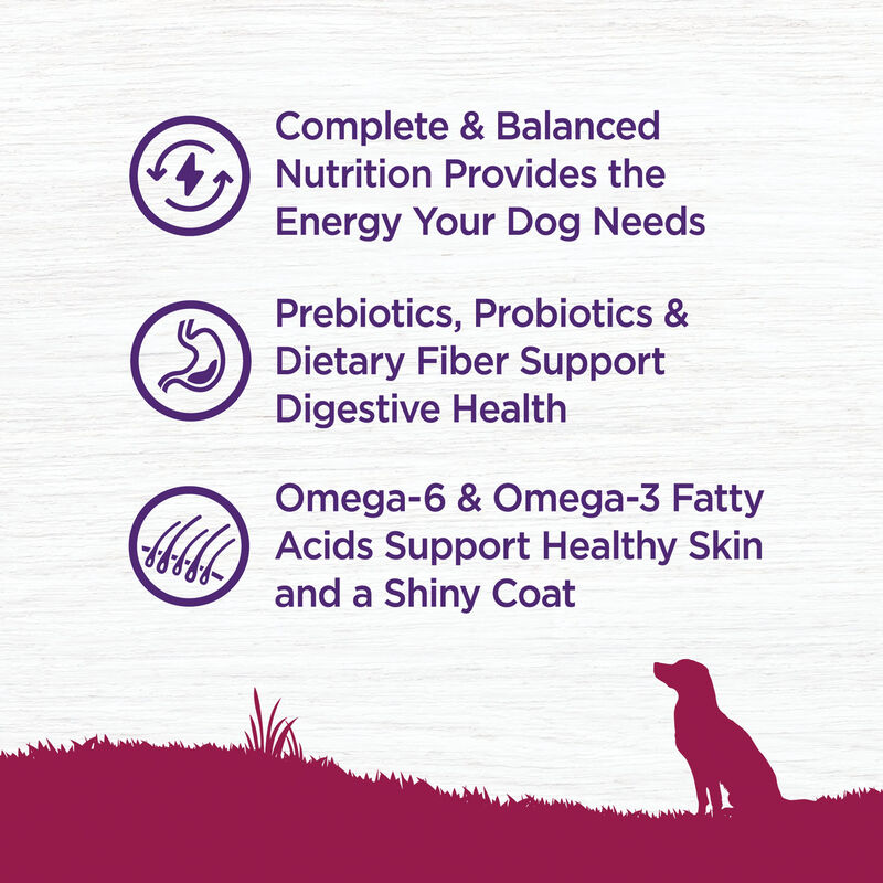 Wellness, Complete Health Small Breed, Turkey & Oatmeal - Dry Dog Food image number null