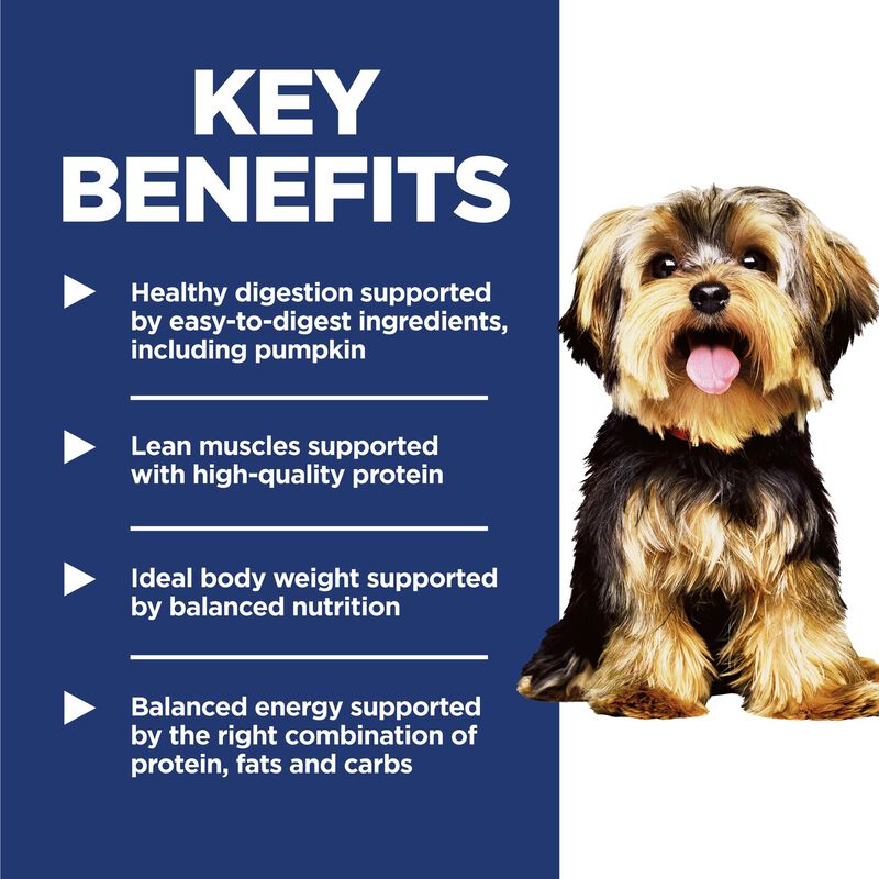 Science Diet, Adult Small & Mini Lamb Meal & Brown Rice Recipe Dry Dog Food image number null
