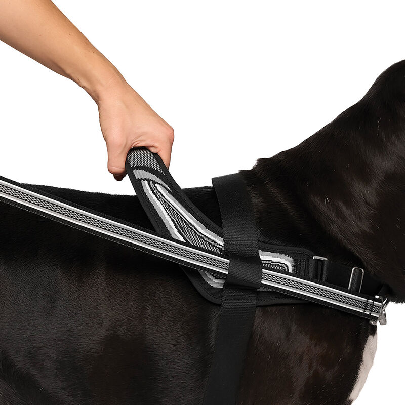 Canada Pooch, Re-Direct Harness - Black/Grey image number null