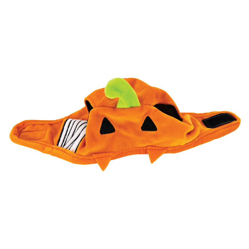 Zoom Pets Pumpkin Dog Hat image number null